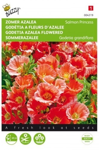 Godetia, Clarika amoena Salmon Princess cca 0,75 g